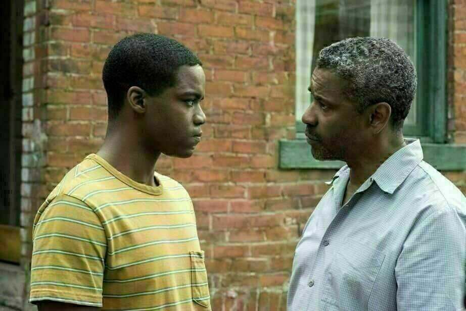 Fences 8