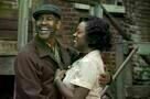 Fences 9