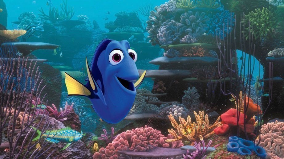 Findet Dorie 01