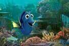 Findet Dorie 01