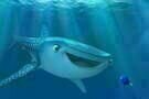 Findet Dorie 03