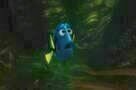 Findet Dorie 10