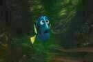 Findet Dorie 10