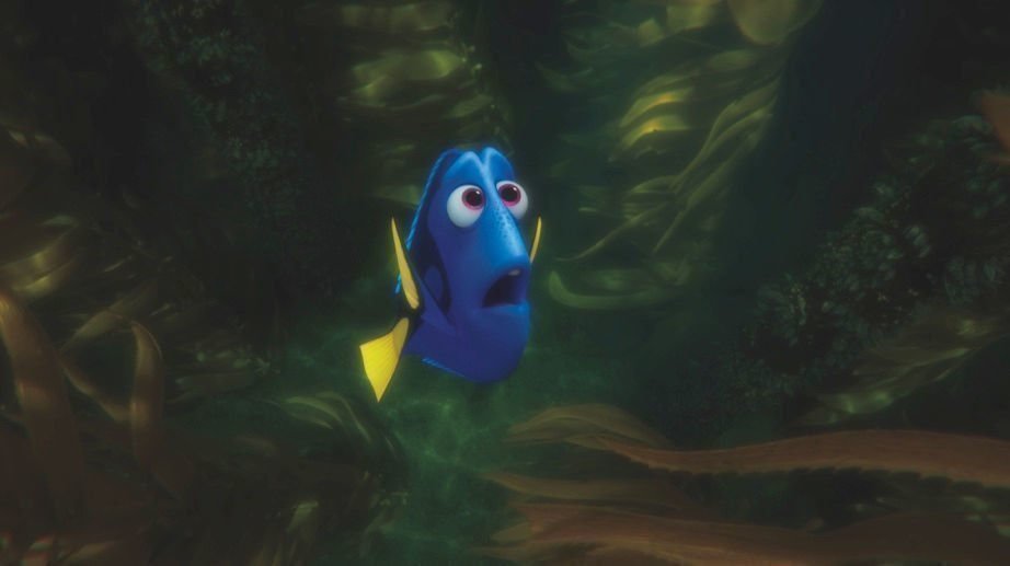 Findet Dorie 10