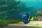 Findet Dorie 11