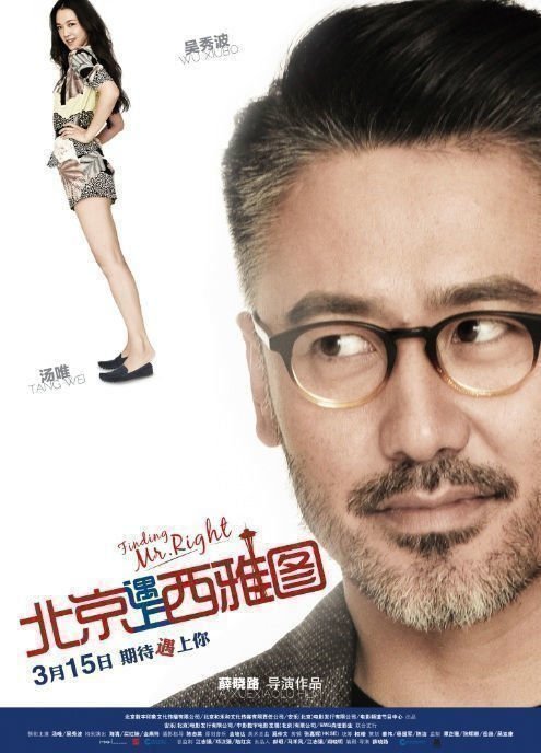 Finding Mr. Right - Poster
