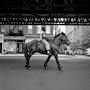 Finding Vivian Maier 01
