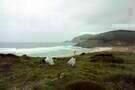 Finisterrae 02
