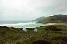Finisterrae 02