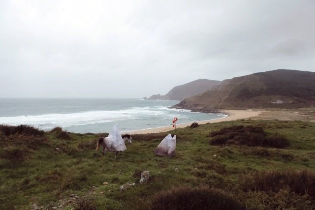 Finisterrae 02