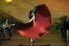 Flamenco  Flamenco 01