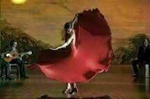 Flamenco Flamenco 01 Flamenco Flamenco 01