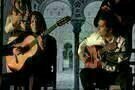 Flamenco  Flamenco 05