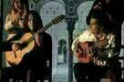 Flamenco Flamenco 05