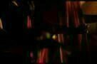 Flamenco, Flamenco - Trailer