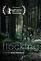 Flocking - Poster