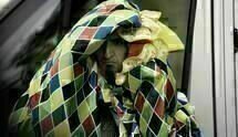 Four Lions 07 Four Lions 07
