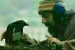 Four Lions