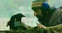 Four Lions 10 Four Lions 10