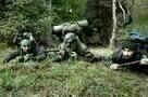 Four Lions 13