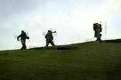 Four Lions 14