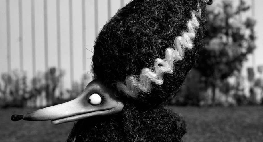 Frankenweenie 03