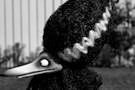 Frankenweenie 03
