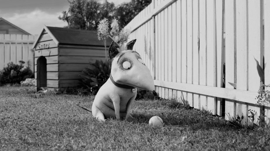 Frankenweenie 06