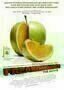 Freakonomics - Plakat