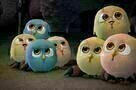 Free Birds