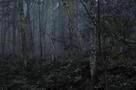 Freistaat Mittelpunkt - Trailer