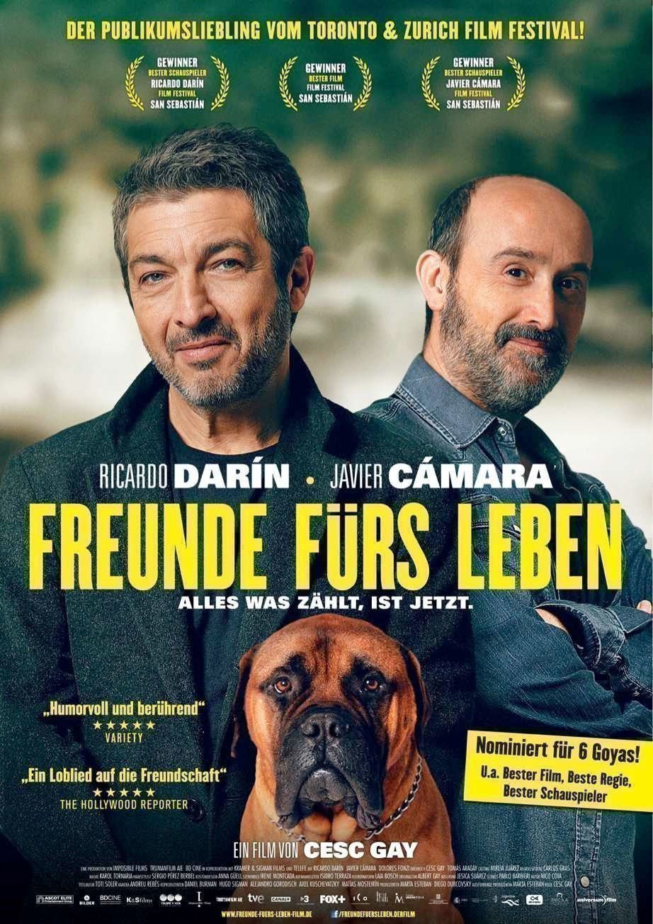 Freunde furs Leben - Plakat