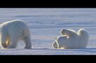 Frost ohne Schnee und Eis - Trailer