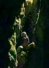 Fünf Freunde und das Tal der Dinosaurier