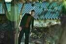 Goksung 10