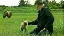 Grizzly Man