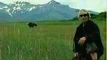 Grizzly Man