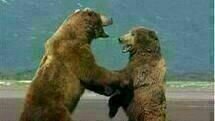 Grizzly Man
