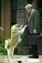 HACHIKO