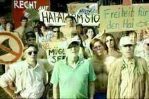 Hai-Alarm am Mueggelsee 10