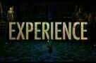 Hamilton - Trailer