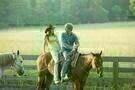Hannah Montana - Der Film