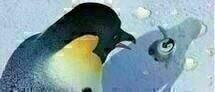 Happy Feet