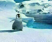 Happy Feet 2