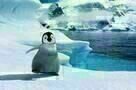 Happy Feet 2