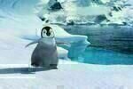 Happy Feet 2