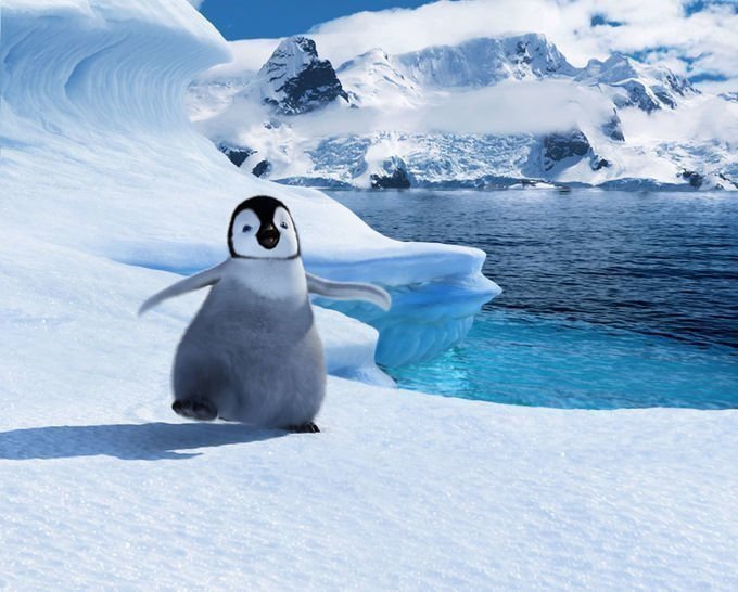 Happy Feet 2