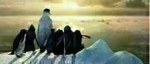 Happy Feet