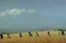 Hay Road 4