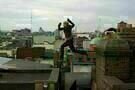 Haywire 1